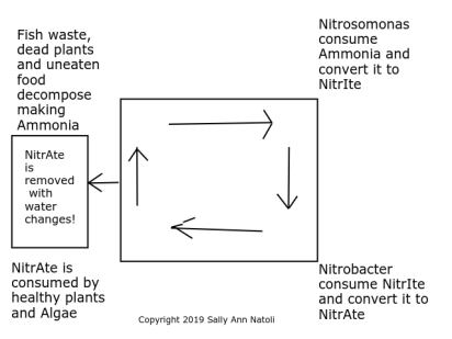 Nitrogen Cycle